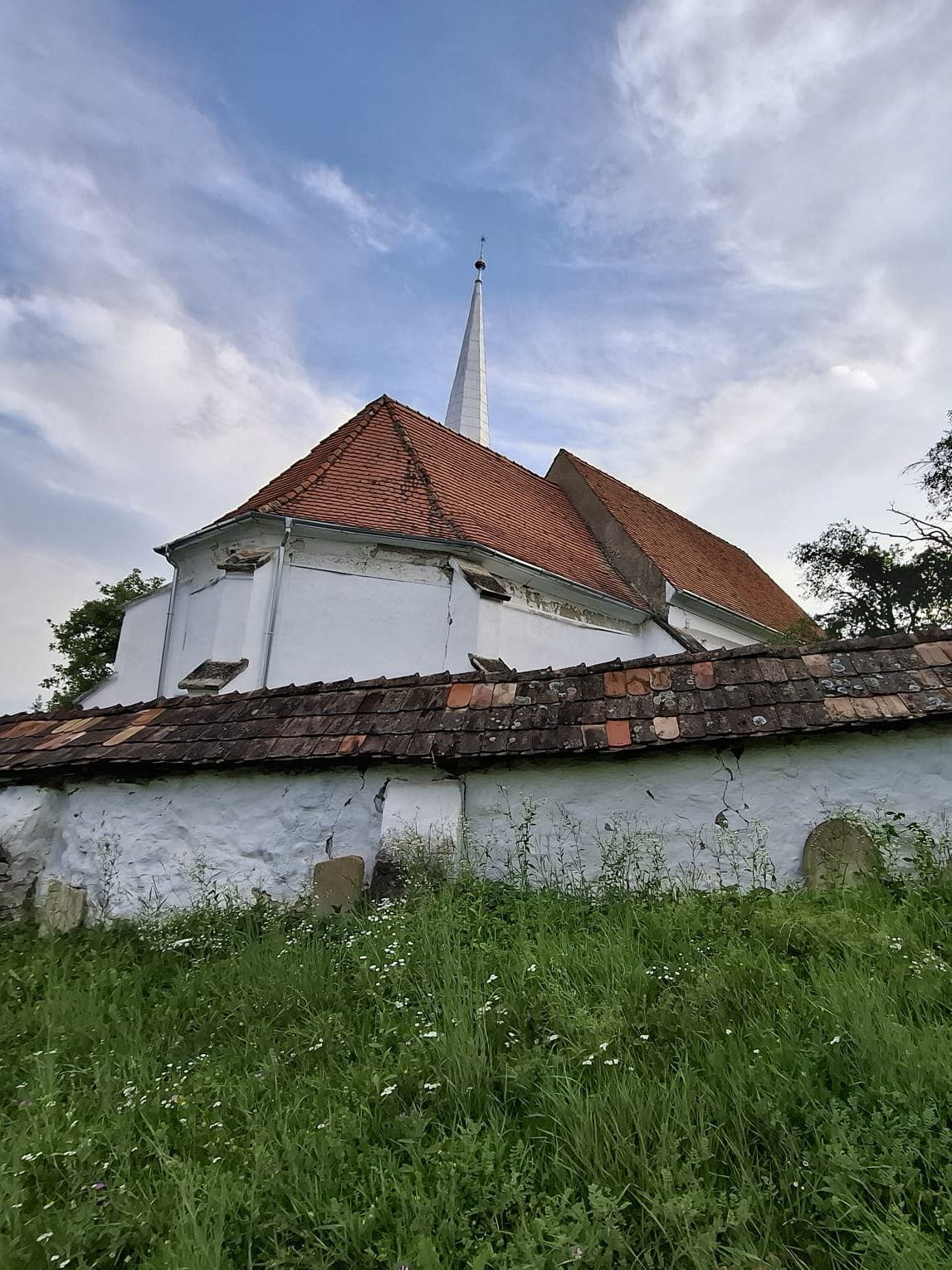 WhatsApp-Image-2025-08-22-at-12.02.06